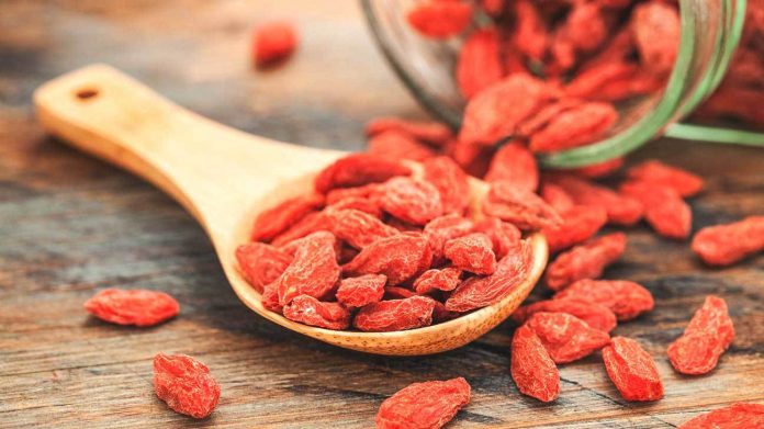 Goji Berries Health Benefits: What You Need To Know