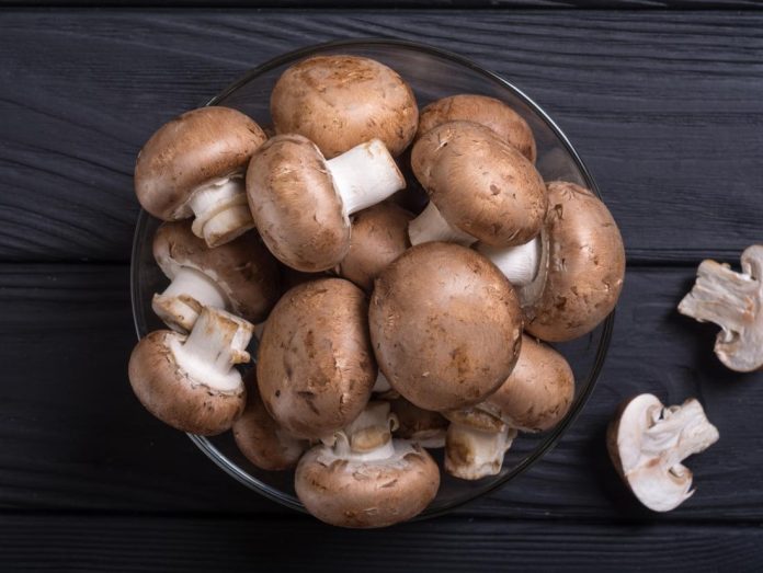 A Guide to the Several Benefits of Mushrooms For Men's Health and Fitness