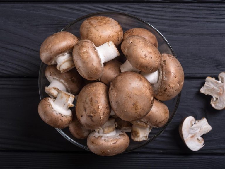 A Guide to the Several Benefits of Mushrooms For Men’s Health and Fitness