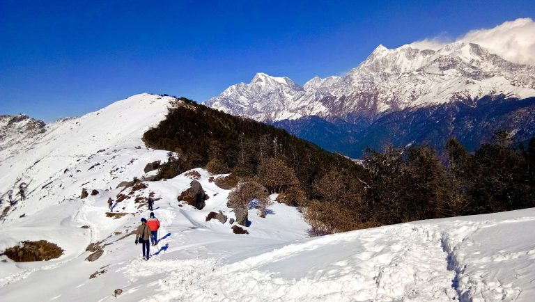 Kuari Pass trek: all you need to know about the himalayan trek