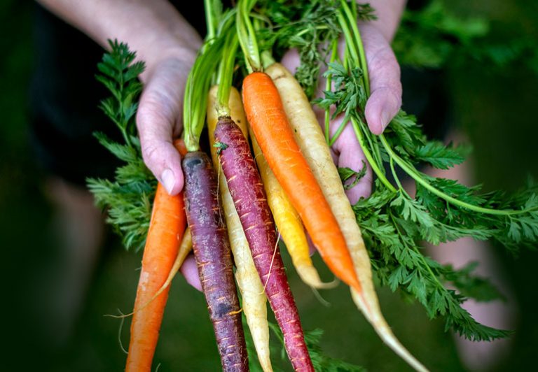 8 Amazing Health Benefits Of Carrots: From Weight-loss To Healthy Eyesight