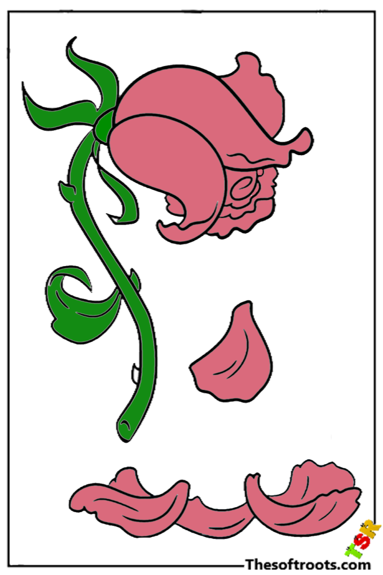 How to Draw Dead Rose Drawing Step by Step Easy Drawing Tuotiral