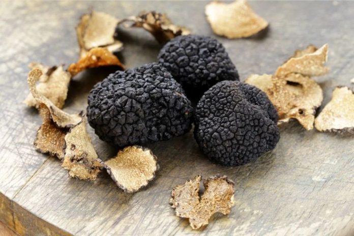 Truffles Possess A Variety Of Medicinal Properties