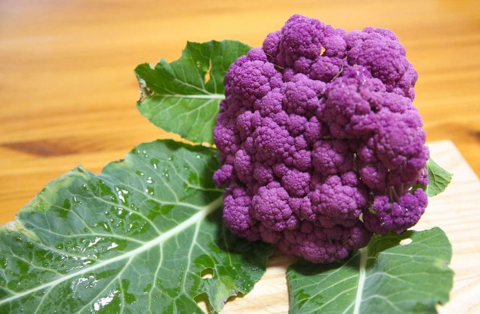 Health Benefits For Men From Purple Cauliflower