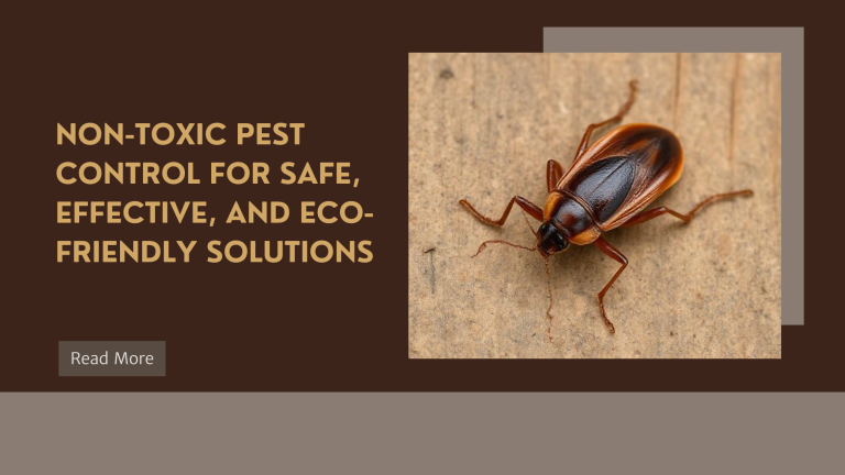 Non-Toxic Pest Control | Safe & Eco-Friendly Pest Solutions