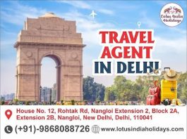 Lotus India Holidays
